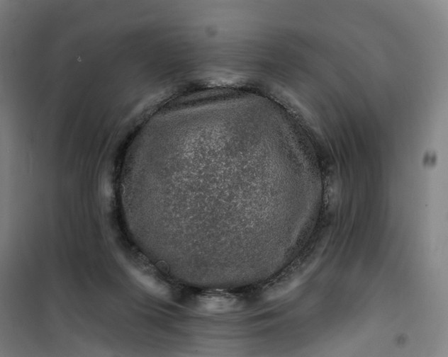 X0000101090215200807101556