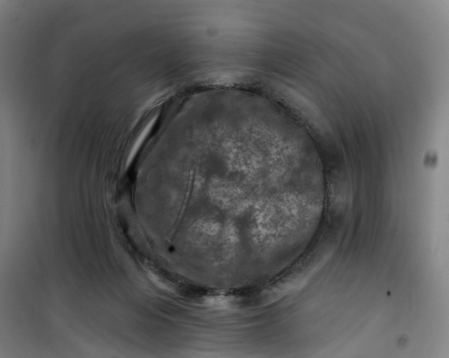 X0000101090216200807101556