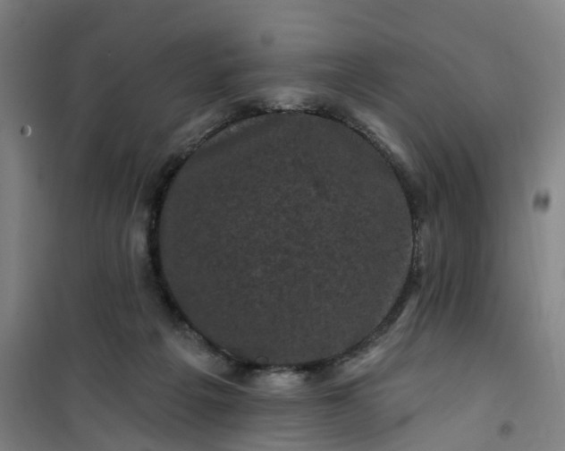 X0000101090217200807101556