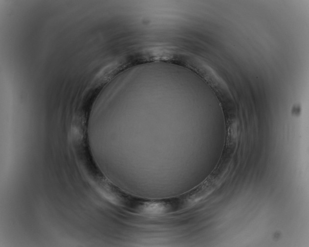 X0000101090218200807101556