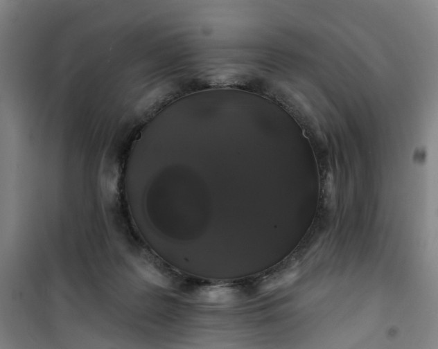 X0000101090219200807101556