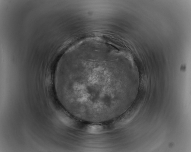 X0000101090220200807101556