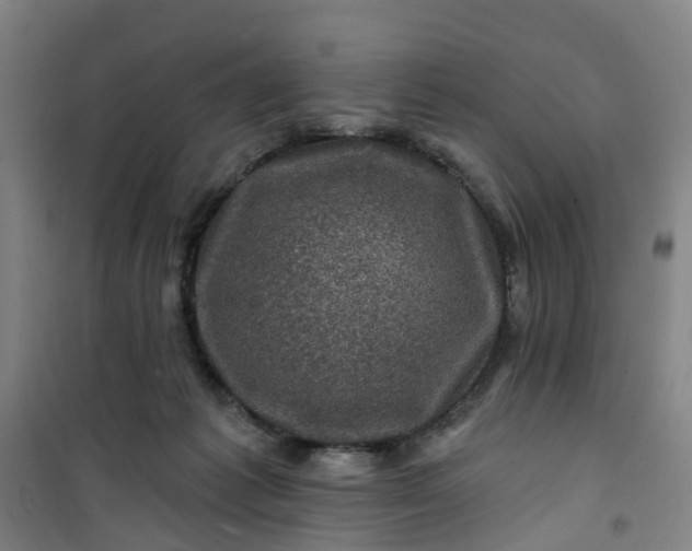 X0000101090221200807101556