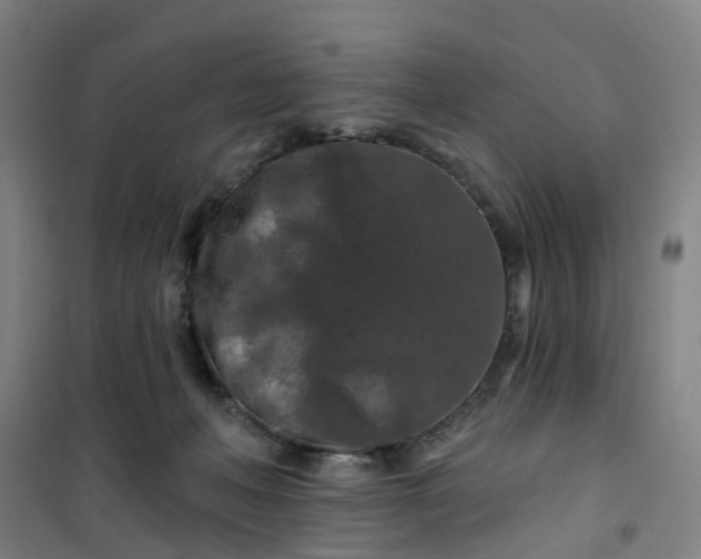 X0000101090222200807101556