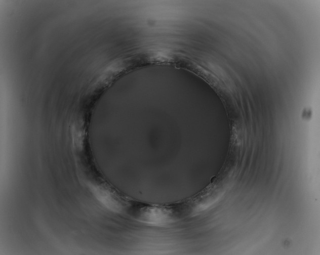 X0000101090223200807101556