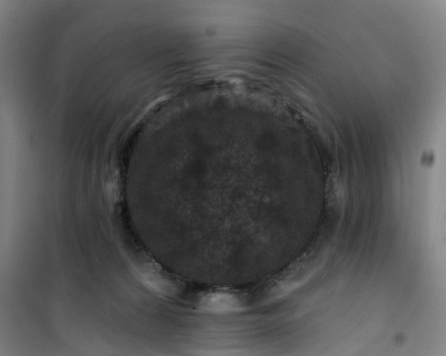 X0000101090224200807101556