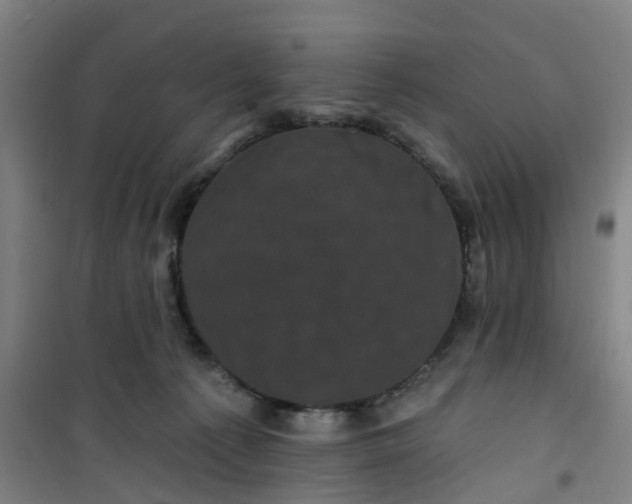 X0000101090225200807101556