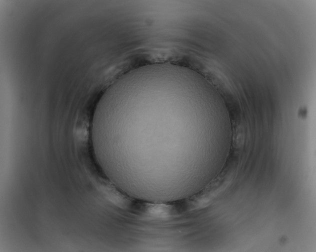 X0000101090226200807101556