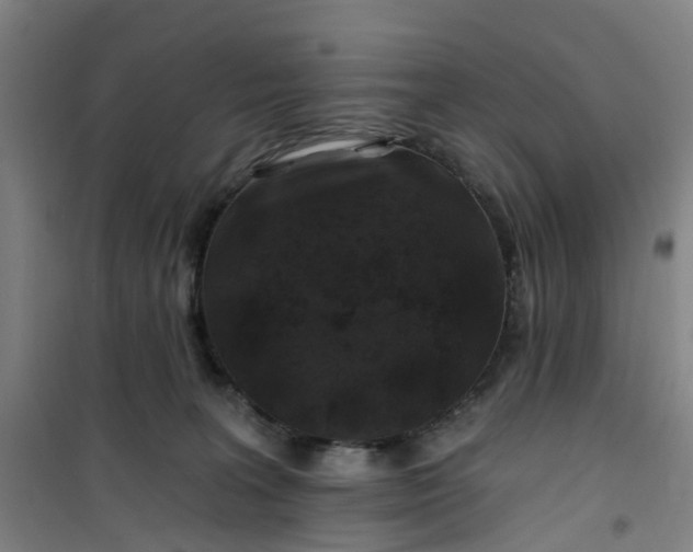 X0000101090227200807101556