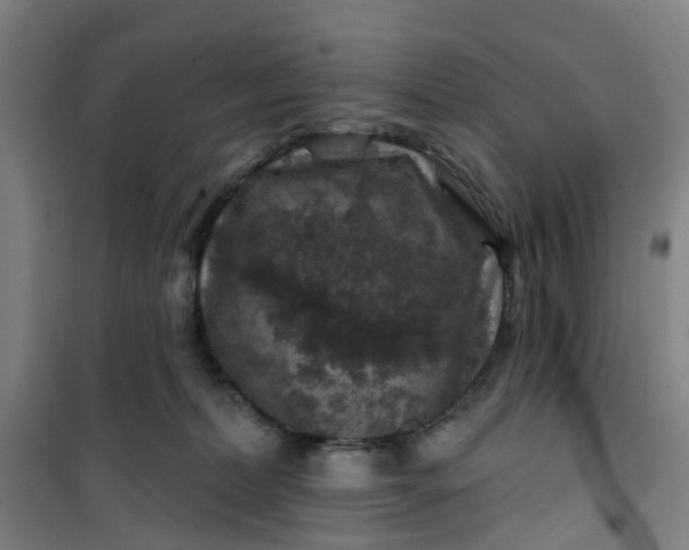 X0000101090228200807101556