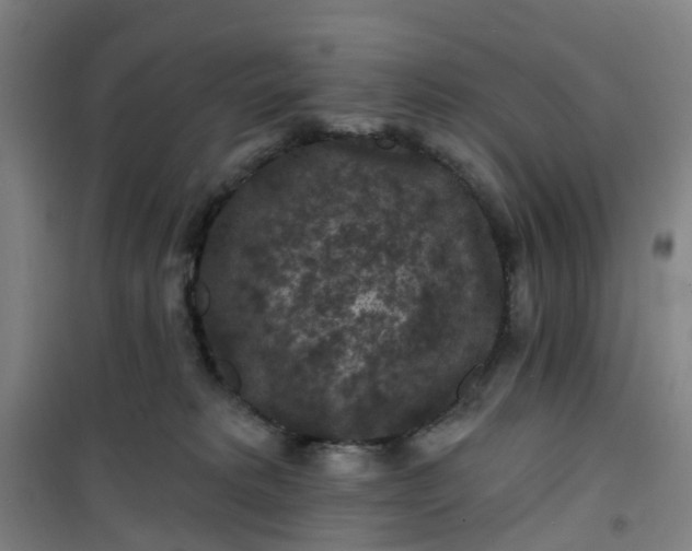 X0000101090229200807101556