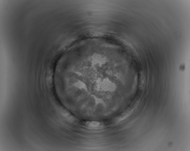 X0000101090230200807101556