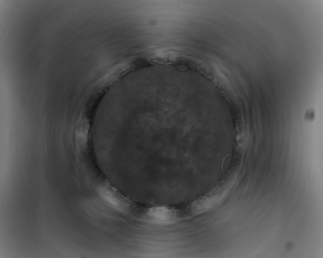 X0000101090231200807101556