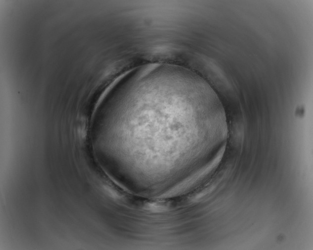 X0000101090232200807101556