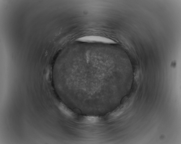 X0000101090233200807101556