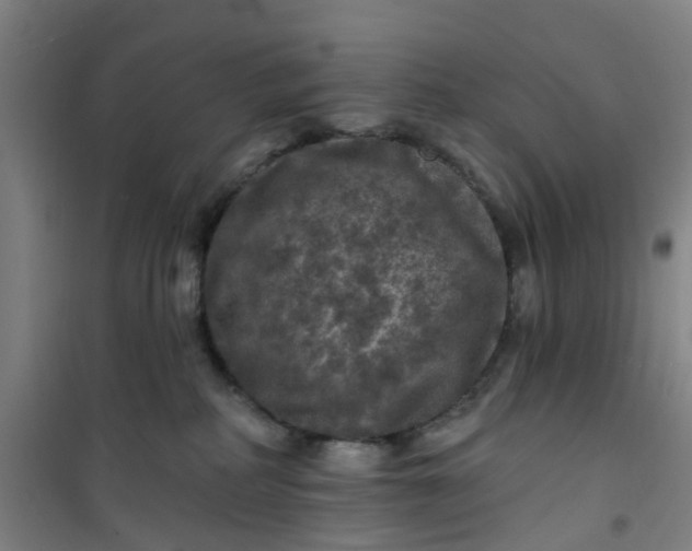 X0000101090234200807101556