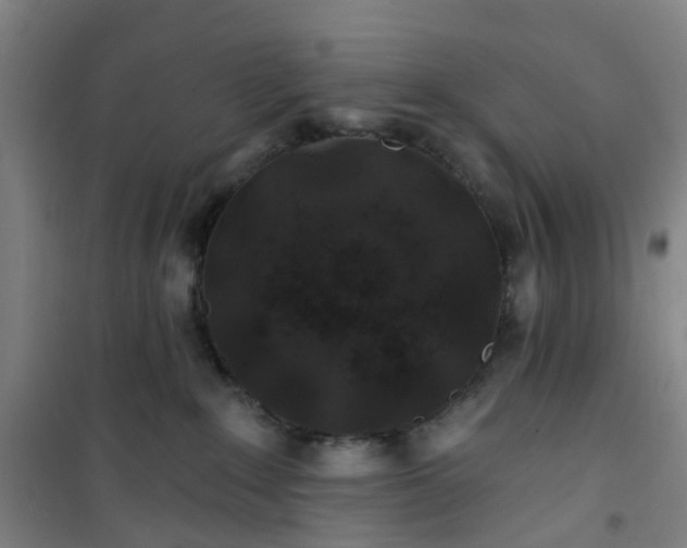 X0000101090235200807101556