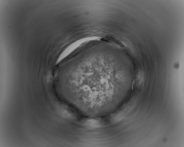 X0000101090236200807101556