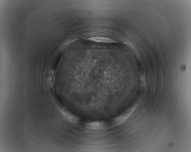 X0000101090237200807101556