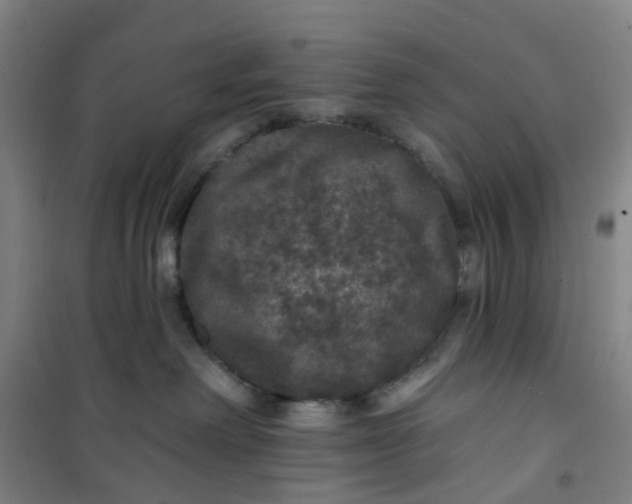 X0000101090238200807101556