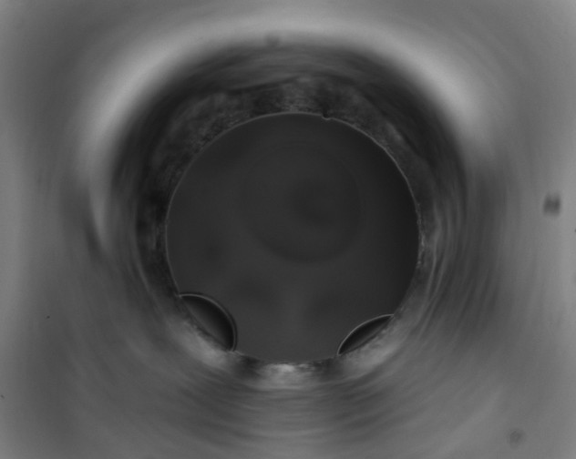 X0000101090239200807101556