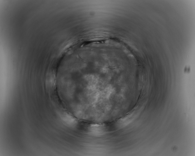 X0000101090240200807101556