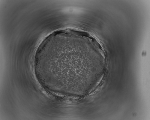 X0000101090241200807101555