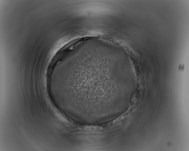 X0000101090242200807101555