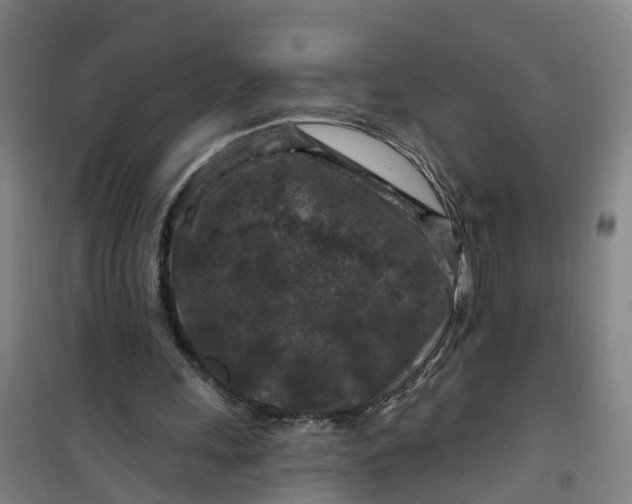 X0000101090243200807101555