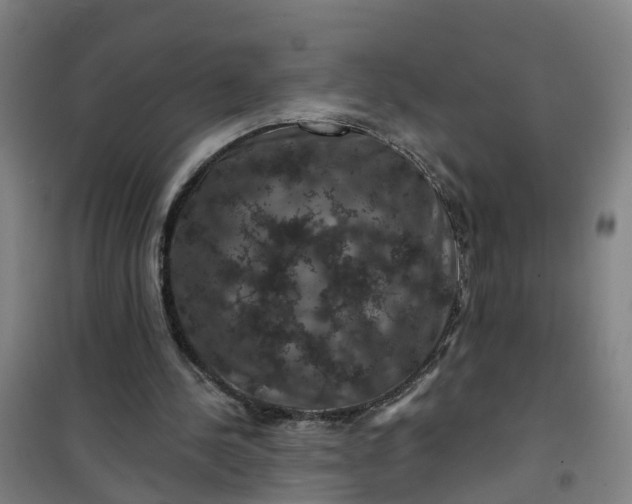 X0000101090244200807101555