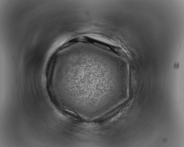 X0000101090245200807101555