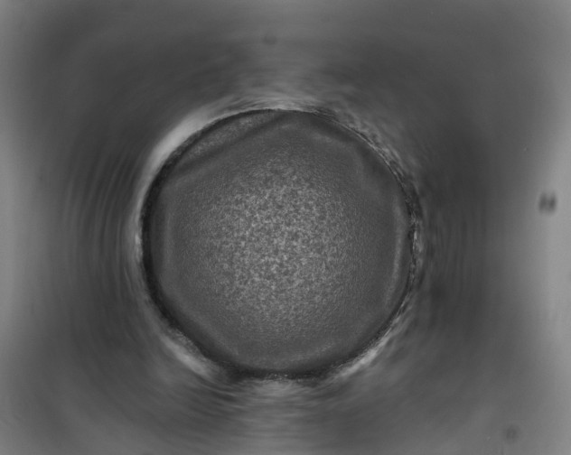 X0000101090246200807101555