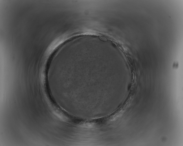 X0000101090247200807101555