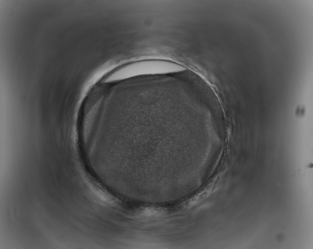 X0000101090248200807101555