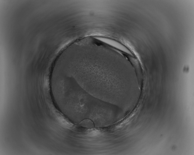 X0000101090249200807101555