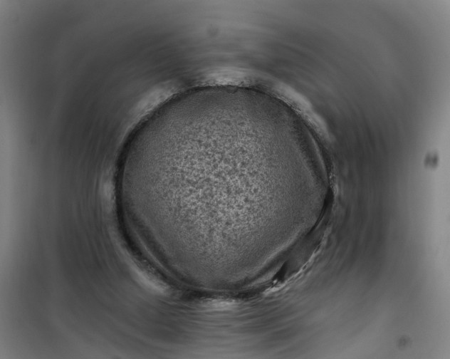 X0000101090250200807101555