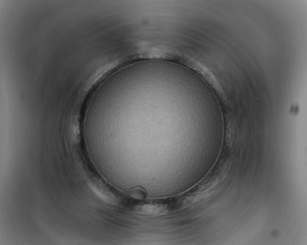 X0000101090251200807101555