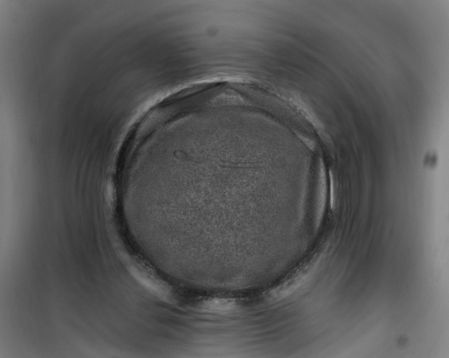 X0000101090252200807101555