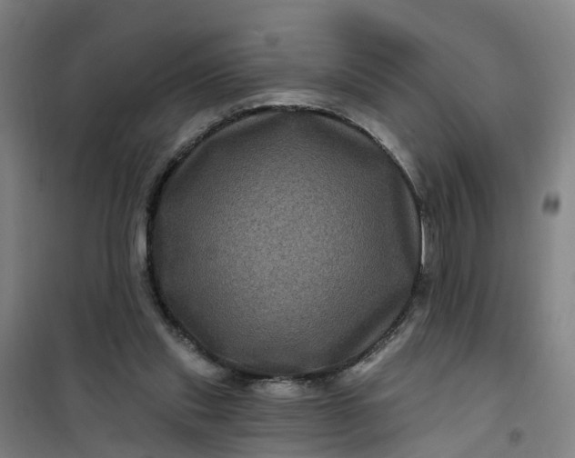 X0000101090253200807101555