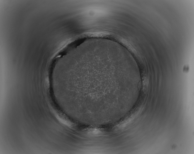 X0000101090254200807101555