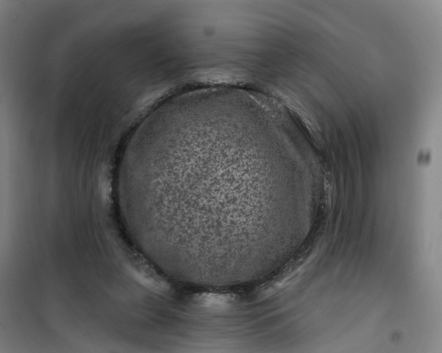 X0000101090255200807101555