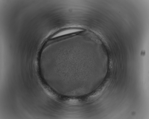 X0000101090256200807101555