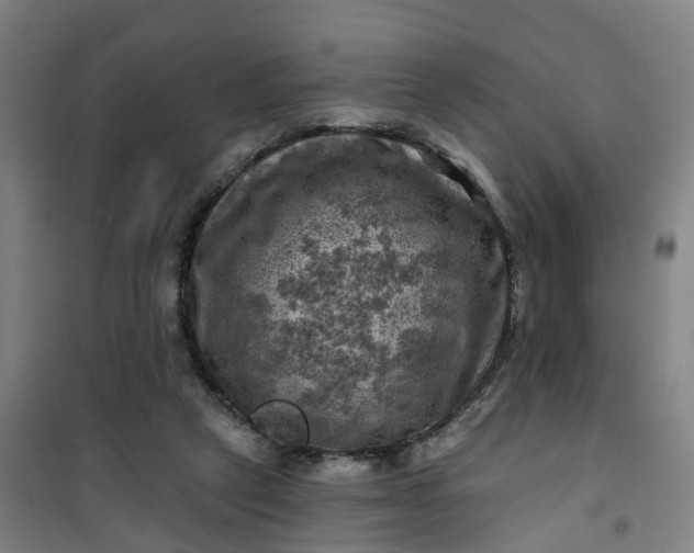 X0000101090257200807101555