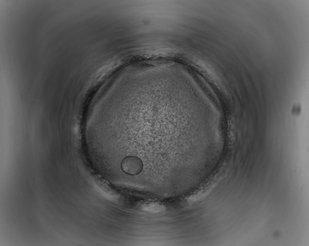 X0000101090258200807101555