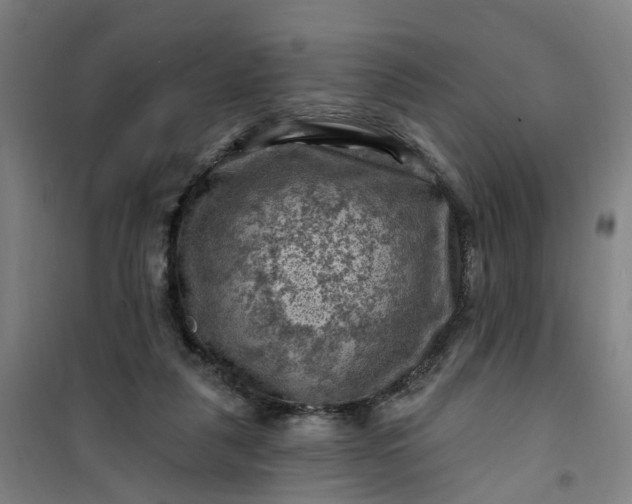 X0000101090259200807101555