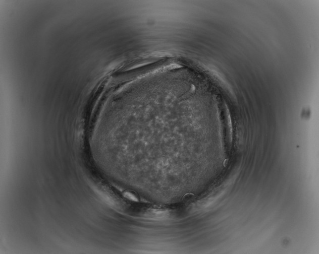 X0000101090260200807101555