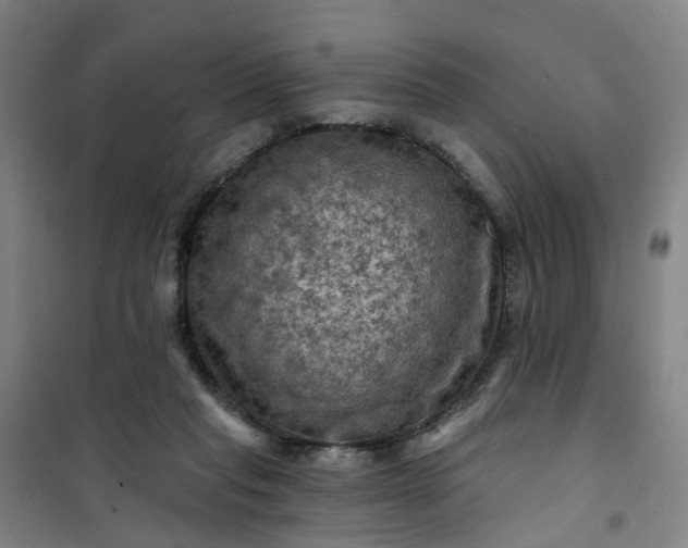 X0000101090261200807101555