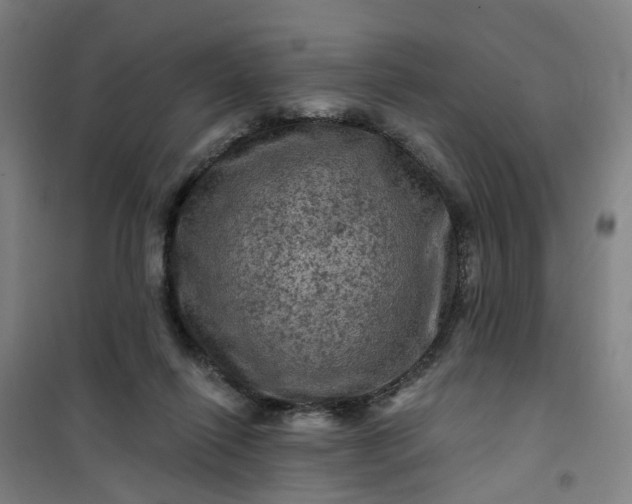 X0000101090262200807101555