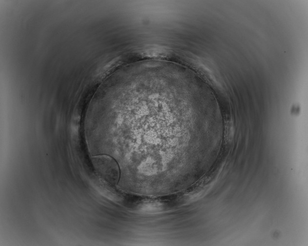 X0000101090263200807101555