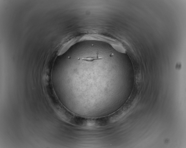 X0000101090264200807101555